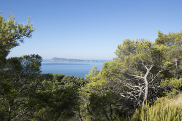 Fototapeta premium Bisevo island (Adriatic sea)
