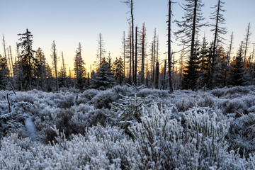 Winterlanschaft Deutschland