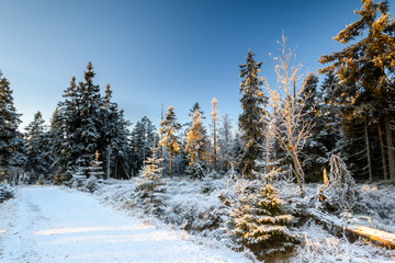 Winterlandschaft Deutschland