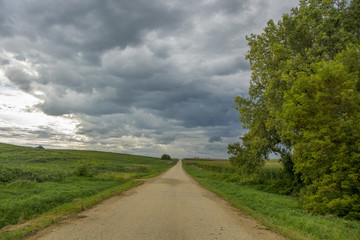 Fototapeta premium Rural Road