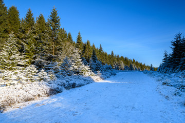 Winterlandschaft Deutschland