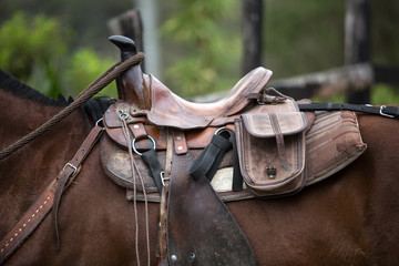 horse saddle in Colombia 