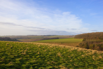 scenic meadow with valley