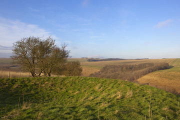 winter landscape with tumulus