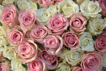 Naklejka na ściany i meble Pink and white roses in a bridal arrangement