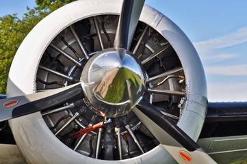 radial engine 1