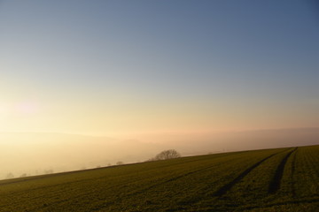 Feld im Dezemberlicht