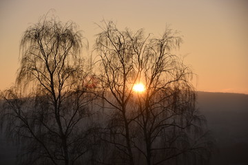 Nachmittagssonne an Silvester