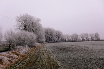 Winterlicher Wiesenweg mit Rain