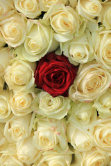 Fototapeta na wymiar Red rose in white bouquet