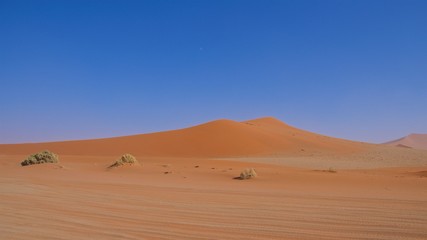 Fototapeta na wymiar Sand dunei in Namib-Naukluft National Park, Namibia