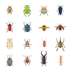 Set of insects flat style vector design icons. Collection  nature beetle and zoology cartoon illustration © denis08131