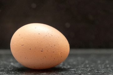 Free Range Egg 1