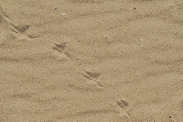 closeup of sand pattern of a beach in the summer
