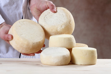 Fototapeta na wymiar Pecorino cheese - typical product Italia