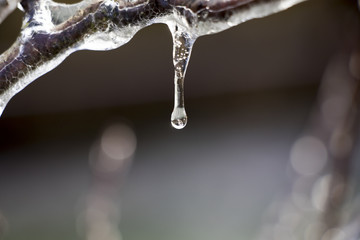 Frozen Water Droplet