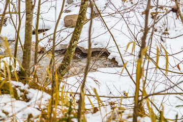 snowy mountain stream