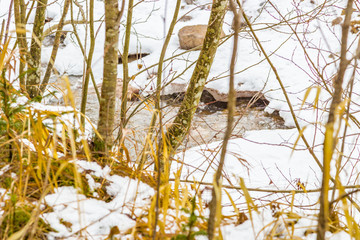 snowy mountain stream