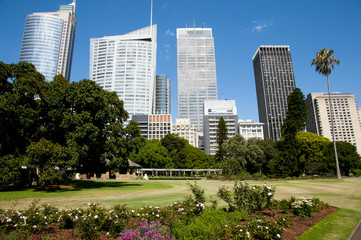 Botanical Garden - Sydney - Australia