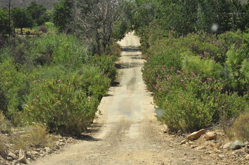 Fototapeta na wymiar Roads of the Cedarberg, Western Cape, South Africa