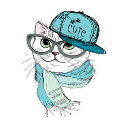 Fashion Cat in a cap,scarf and glasses.