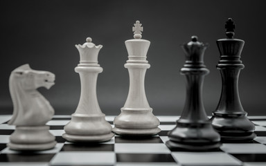 Black and White King and Knight of chess setup on dark backgroun