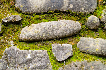 stones of an ancient path and moss