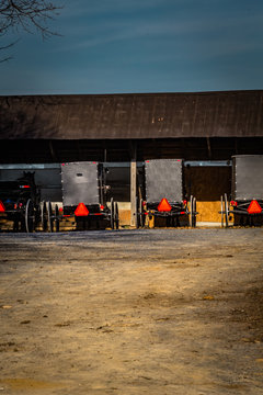 Old Order Amish Mennonite buggies  parked in a shed