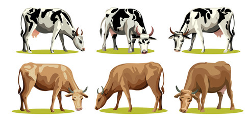Set of isolated cows.