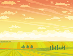 Rural lansdcape with field and sunset sky.