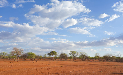 Kalahari