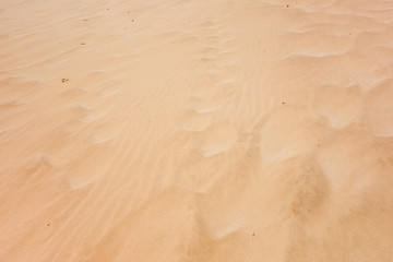 sand background