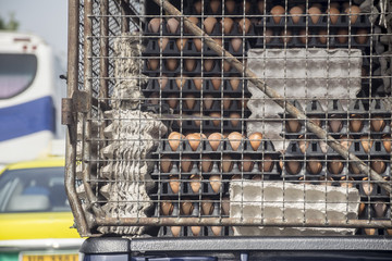 egg pallets on truck. Transportation of agricultural products.