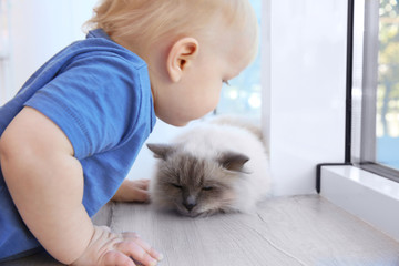 Cute little boy with fluffy cat near window