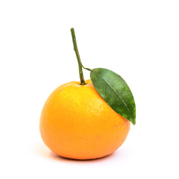 Single kinnow fruit isolated on white background