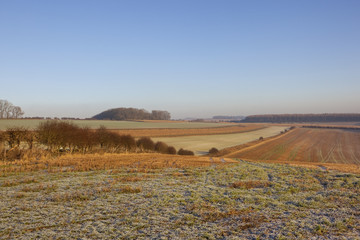 Obraz premium frosty wolds landscape