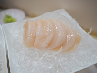scallop sashimi