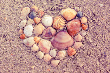 Group of shell on sand in heart shape.