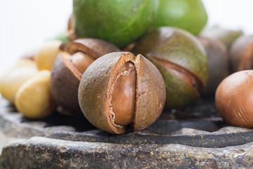 Macadamia nuts with shell - tasty expensive fat nuts