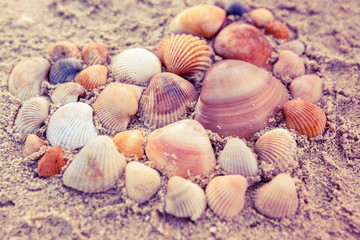 Group of shell on sand in heart shape.