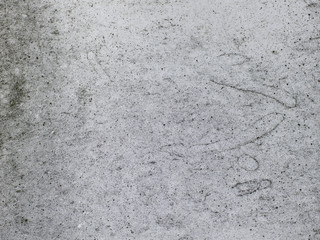Obraz premium stein, beton hintergrund textur.