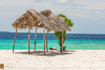Fototapeta na wymiar The Beach in Maldives