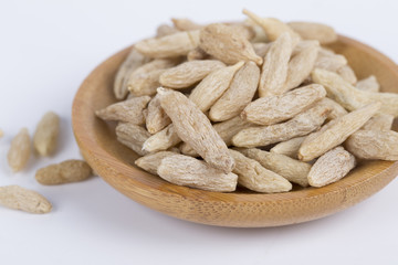 Ophiopogon japonicus, book with grass, Ophiopogon, Liriope, Liliaceae perennial evergreen herbs of Ophiopogon japonicus