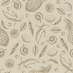 Vector illustration of tropical fruit seamless pattern painted i