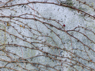 stein, beton hintergrund textur.
