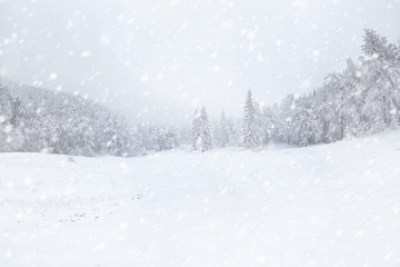 Prachtig winterlandschap tijdens sneeuwstorm