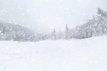 Deurstickers Winter Prachtig winterlandschap tijdens sneeuwstorm