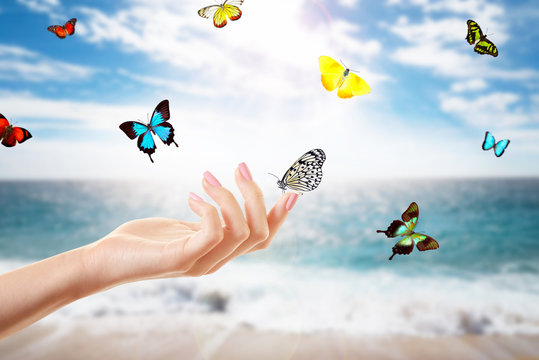Female hand and butterflies on landscape background