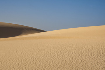 Fototapeta na wymiar The natural Park in Corralejo the canary-islands Spain