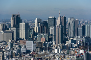 Fototapeta na wymiar Tokyo cityscape in the day, Japan